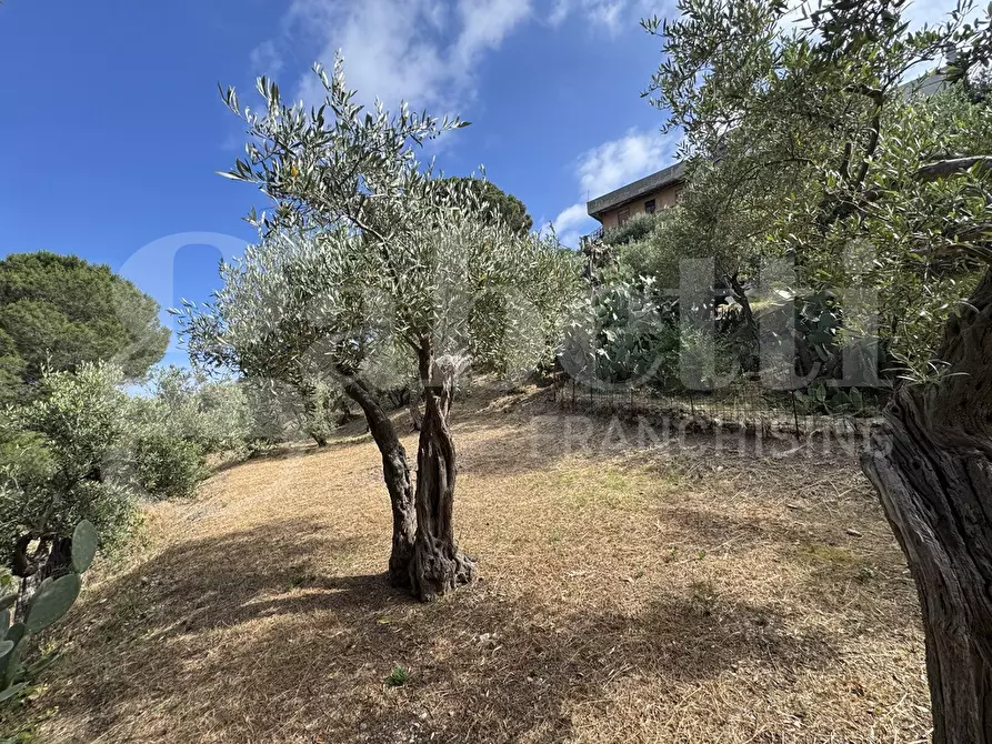 Immagine 1 di Terreno agricolo in vendita  in Contrada grancabella, SNC a Messina
