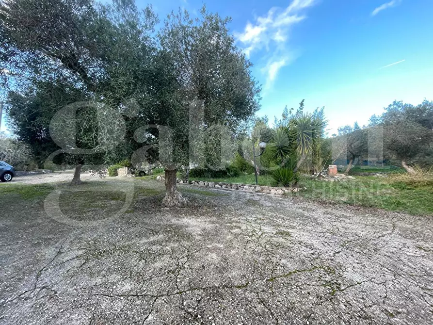 Immagine 39 di Casa bifamiliare in vendita  in Strada Provinciale Itri-Sperlonga, 127 a Itri