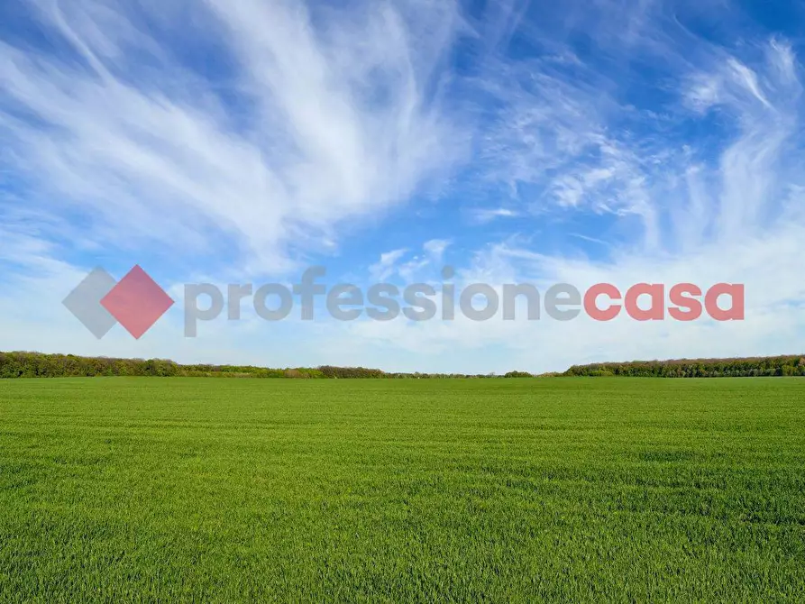 Immagine 1 di Terreno residenziale in vendita  in LocalitÃ  Sant'Anna, snc a Anagni