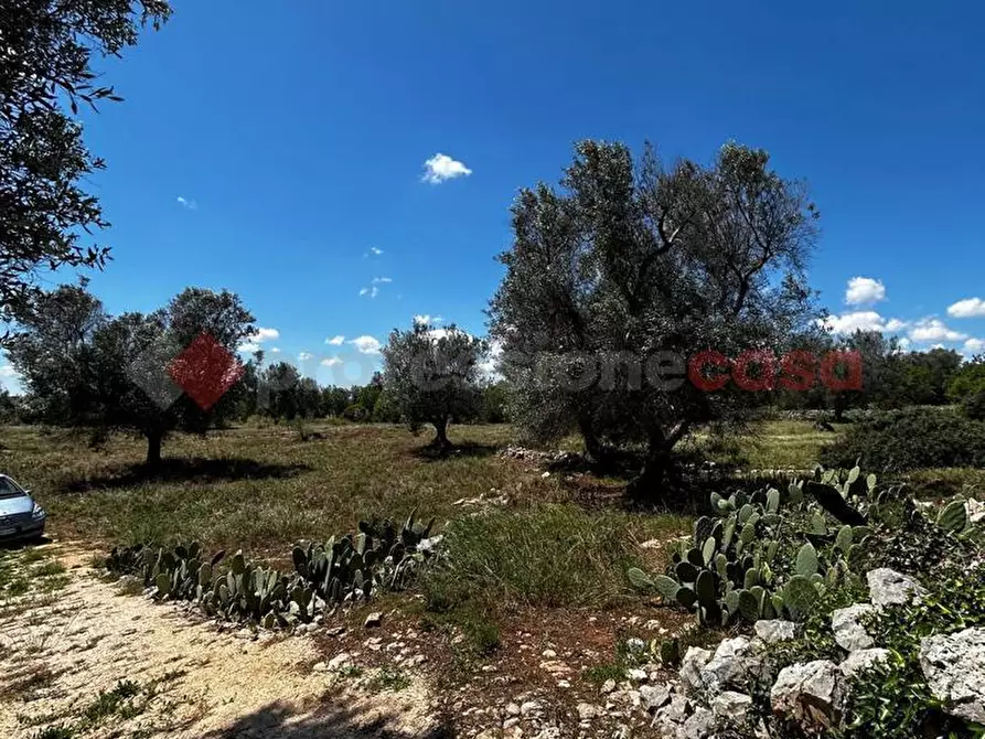 Immagine 2 di Baita in vendita  in Contrada BARONE PICCOLO, SNC a Ceglie Messapico