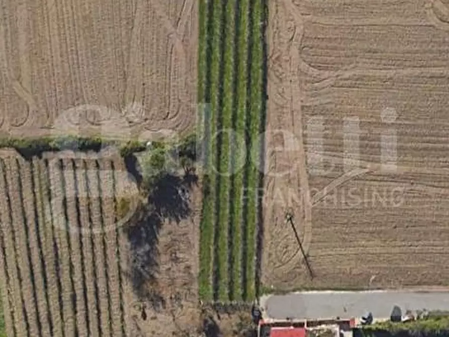 Immagine 6 di Terreno agricolo in vendita  in Contrada limitone, 10 a Sant'antimo