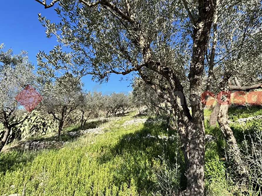 Immagine 17 di Rustico / casale in vendita  in Via Montereo, 32 a Alatri
