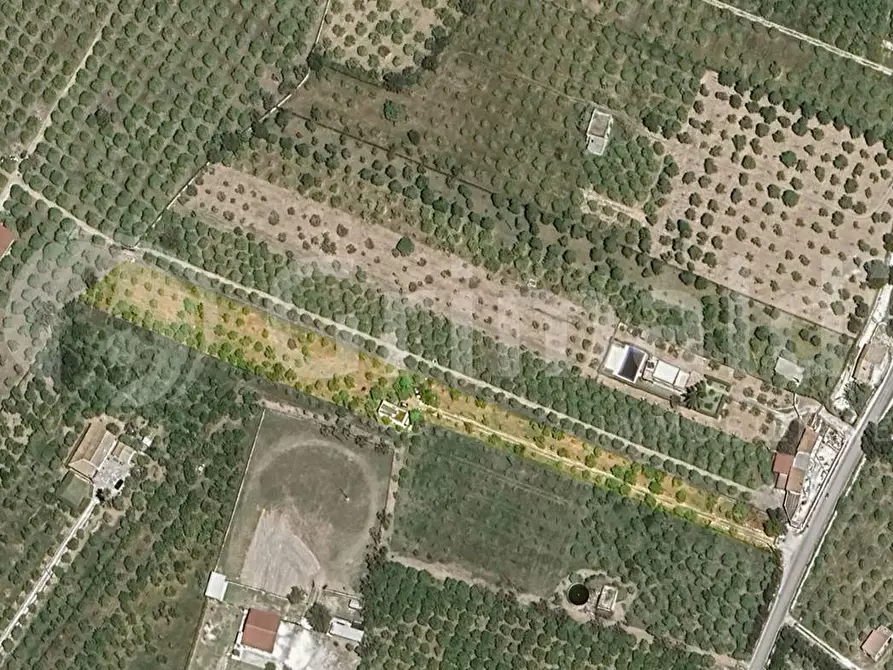 Immagine 10 di Terreno residenziale in vendita  in Contrada calabernardo/palma, snc a Avola