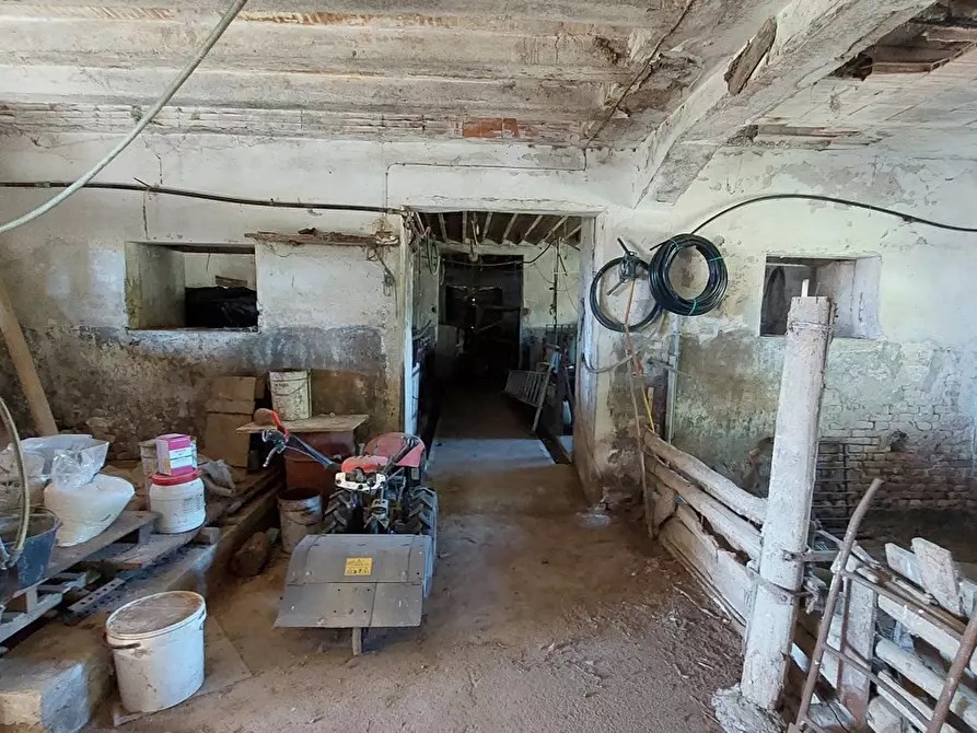 Immagine 5 di Rustico / casale in vendita  in Via CAVARZERE localitÃ  Fossaviera, 8 a Cavarzere