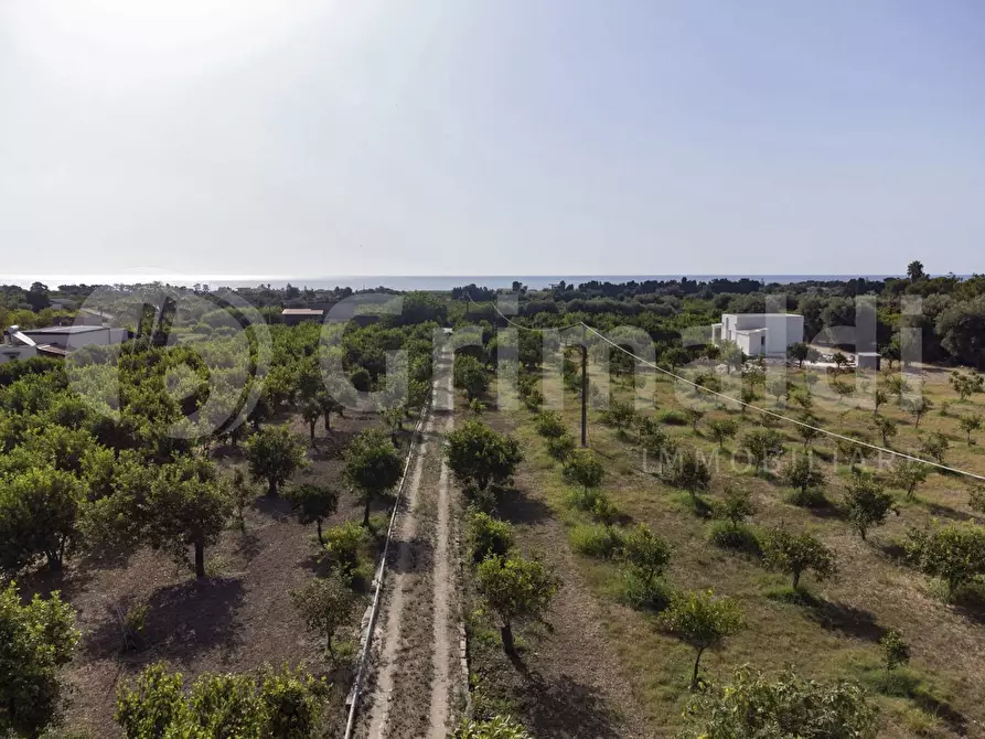 Immagine 2 di Terreno residenziale in vendita  in Contrada calabernardo/palma, snc a Avola