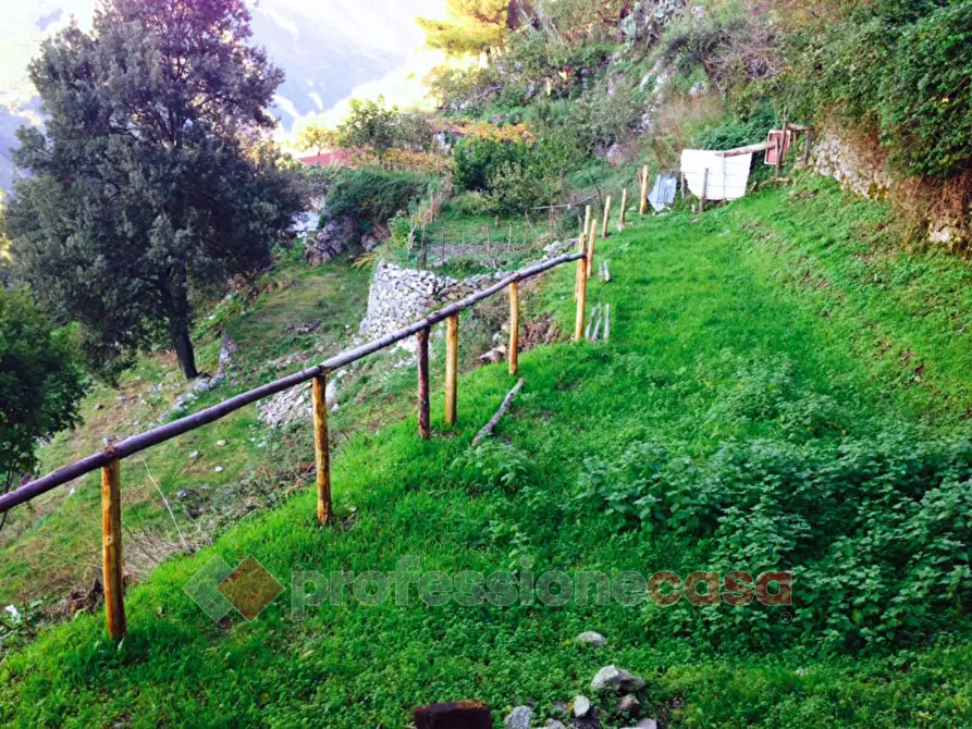 Immagine 20 di Casa indipendente in vendita  in Via Discesa Pisano a Aieta