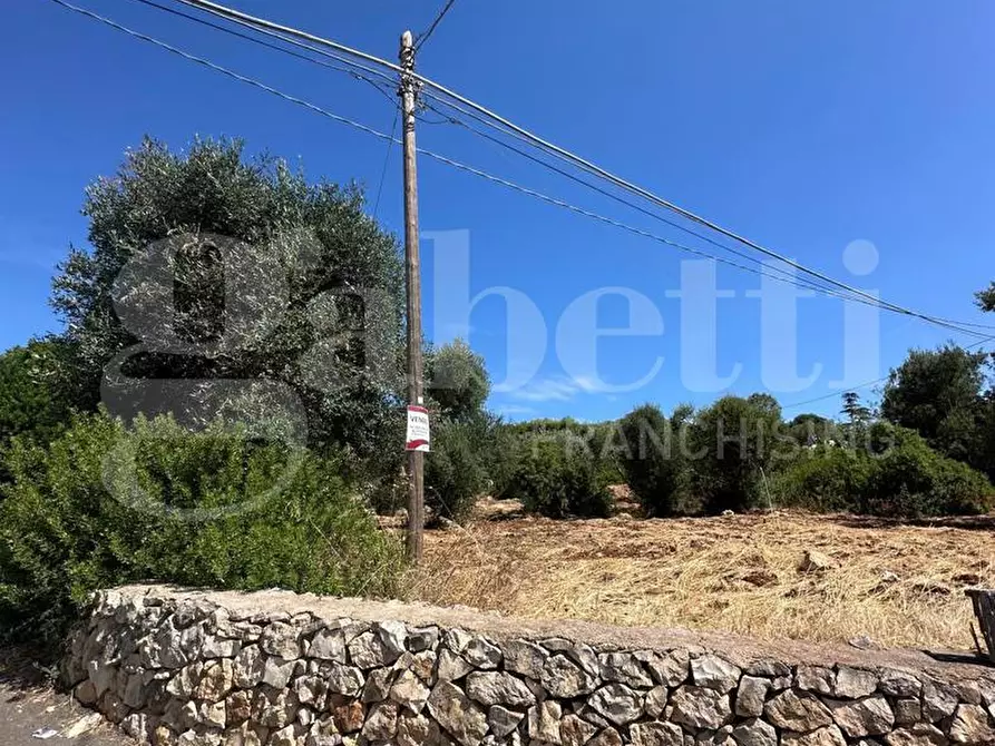 Immagine 9 di Terreno agricolo in vendita  in Contrada Campanile a Ostuni