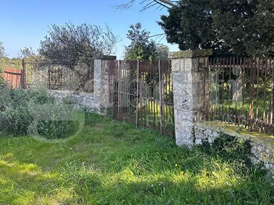 terreno agricolo in vendita ad Ostuni