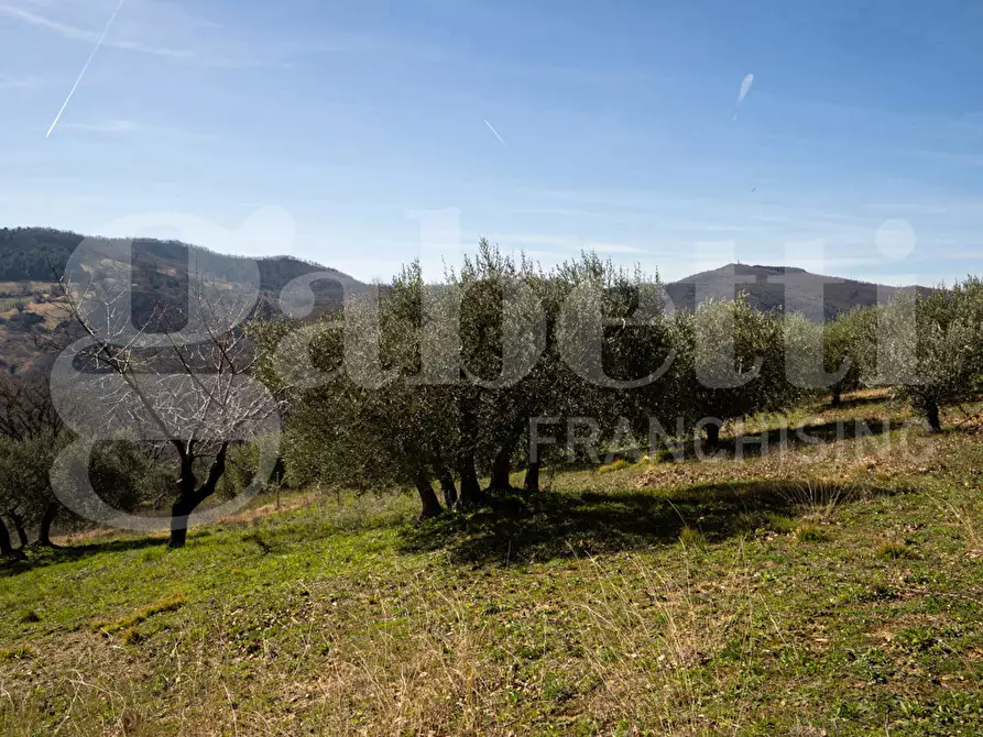 Immagine 16 di Rustico / casale in vendita  in Via DON GIULIO BARBANI, 1 a Assisi