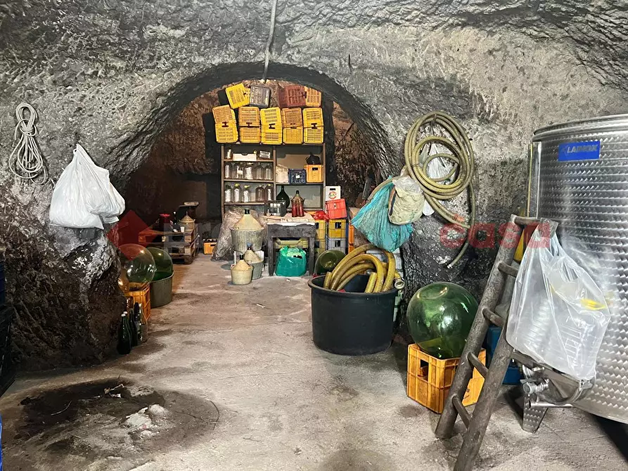 Immagine 29 di Terreno agricolo in vendita  in Contrada GORIZZE, SNC a Barile