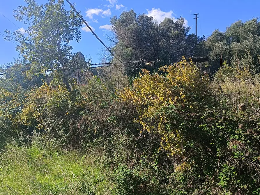 Immagine 5 di Terreno agricolo in vendita  in Via Giampilieri Superiore, contrada santa Lucia, Snc a Messina