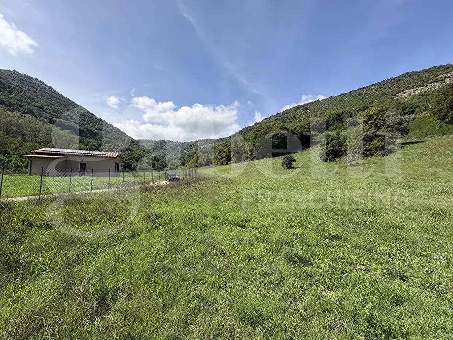 Immagine 14 di Terreno agricolo in vendita  in Via Carpinetana Ovest, snc a Segni