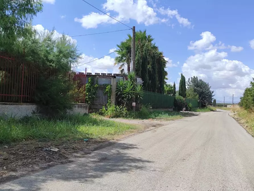 Immagine 1 di Terreno agricolo in vendita  in Via SAN ROCCO, SNC a San Severo