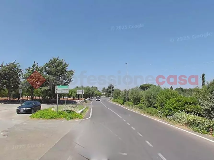 Immagine 1 di Terreno agricolo in vendita  in Contrada PAGLIERICCI a Monopoli