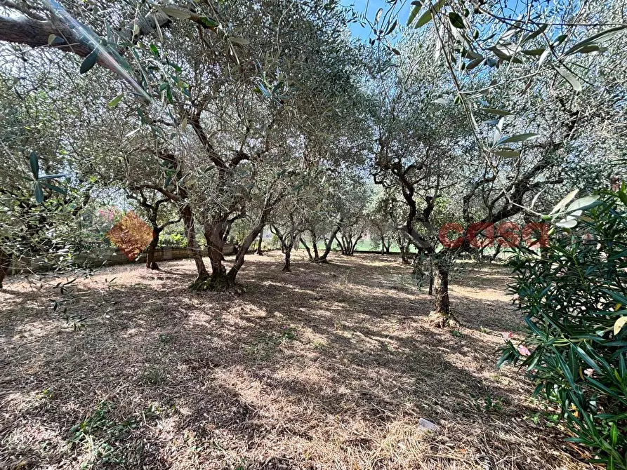 Immagine 4 di Casa indipendente in vendita  in Via Valle Vona, snc a Anagni