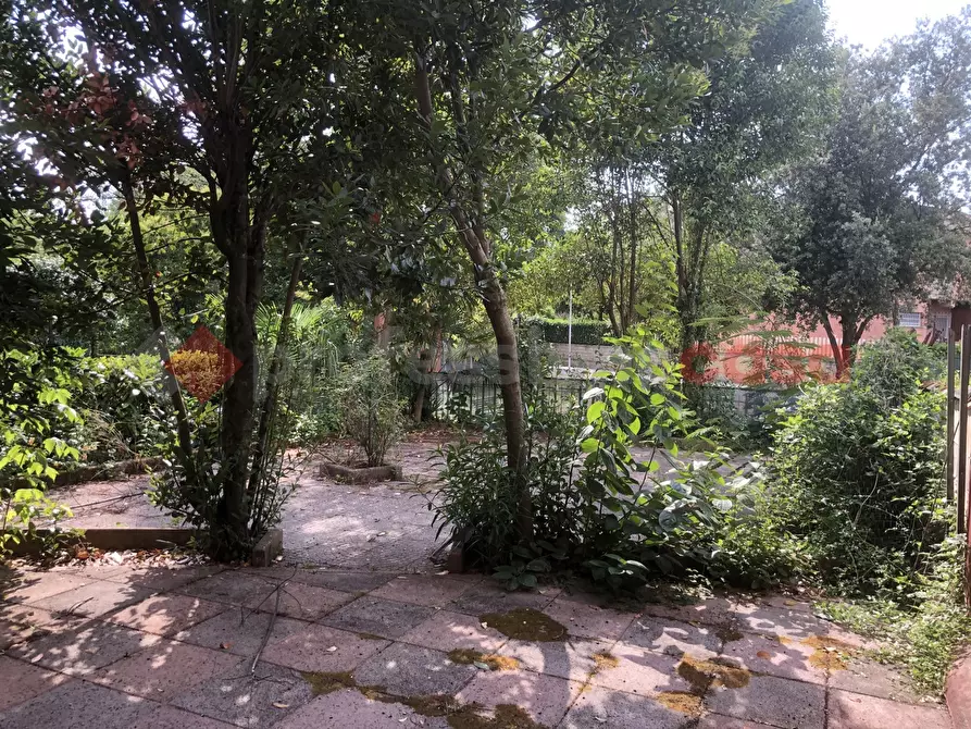 Immagine 38 di Villetta a schiera in vendita  in Via Germania, 47 a Alatri