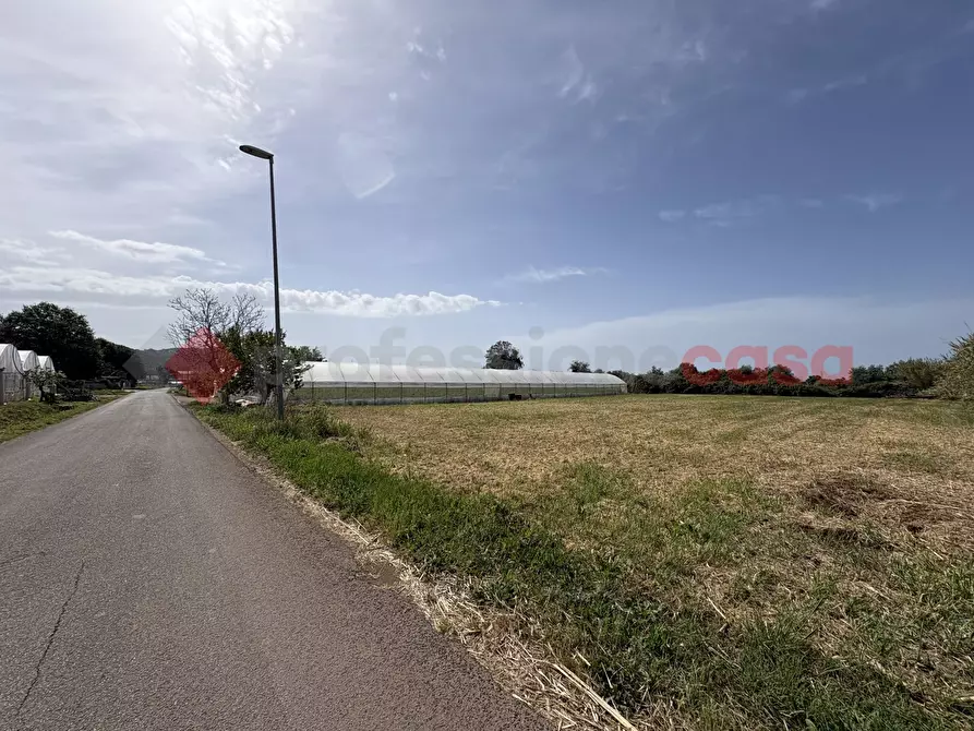 Immagine 5 di Terreno agricolo in vendita  in Via PONTE DI FERRO, 74 a Terracina