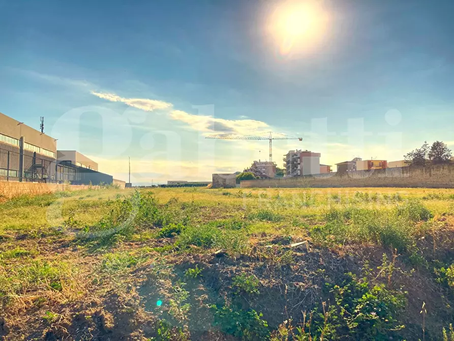 Immagine 3 di Terreno agricolo in vendita  in Via soccorso a San Severo