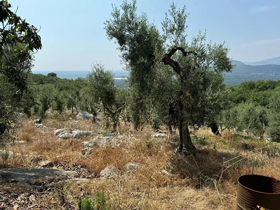 Immagine 18 di Villa in vendita  in Via Carbonara, 11 a Sonnino