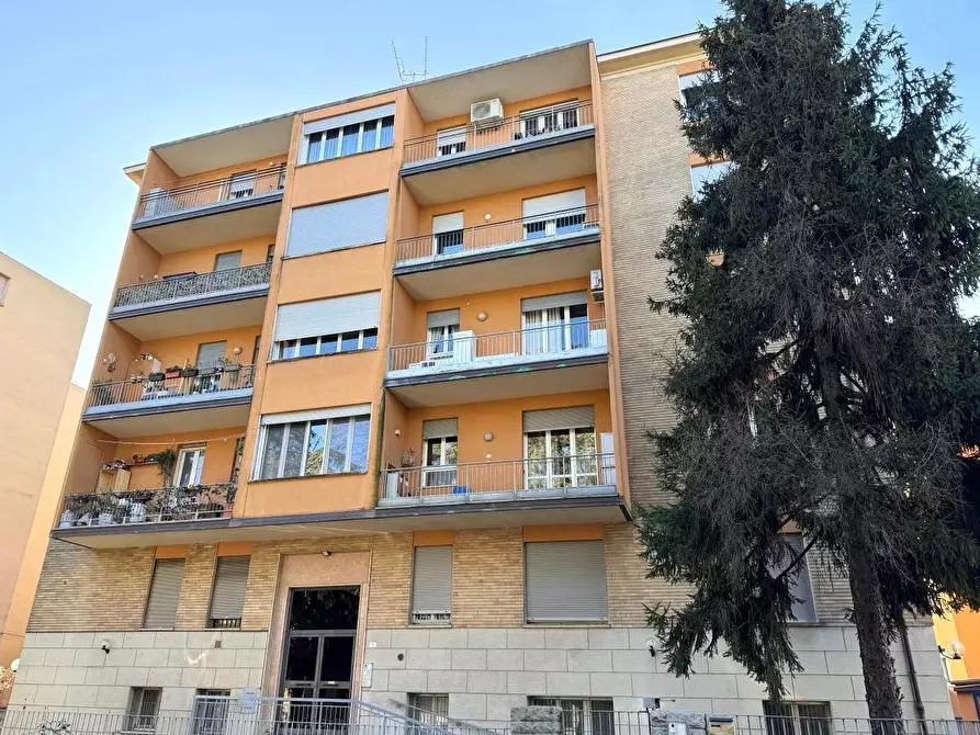 Immagine 24 di Appartamento in vendita  in Via Amilcare Ponchielli, 1 a Bologna