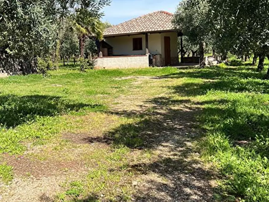 Immagine 2 di Terreno agricolo in vendita  in Via Raoul Morelli, 133 a Lamezia Terme