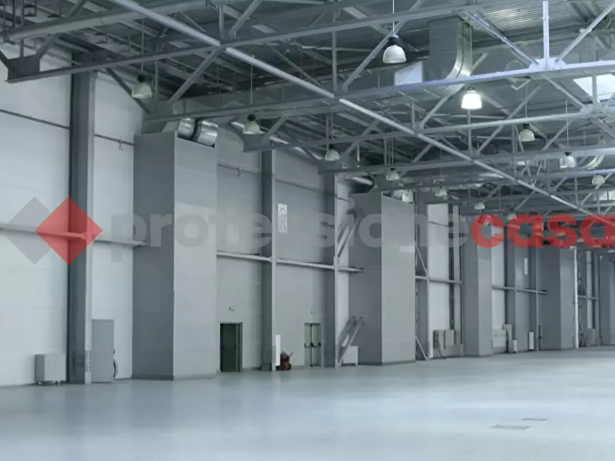 Immagine 1 di Capannone industriale in vendita  in LocalitÃ  Paduni, Anagni, snc a Anagni