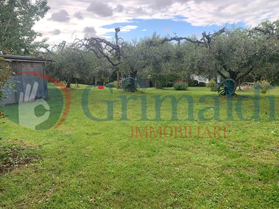 Immagine 3 di Terreno agricolo in vendita  in Via dell'uliveta a Livorno