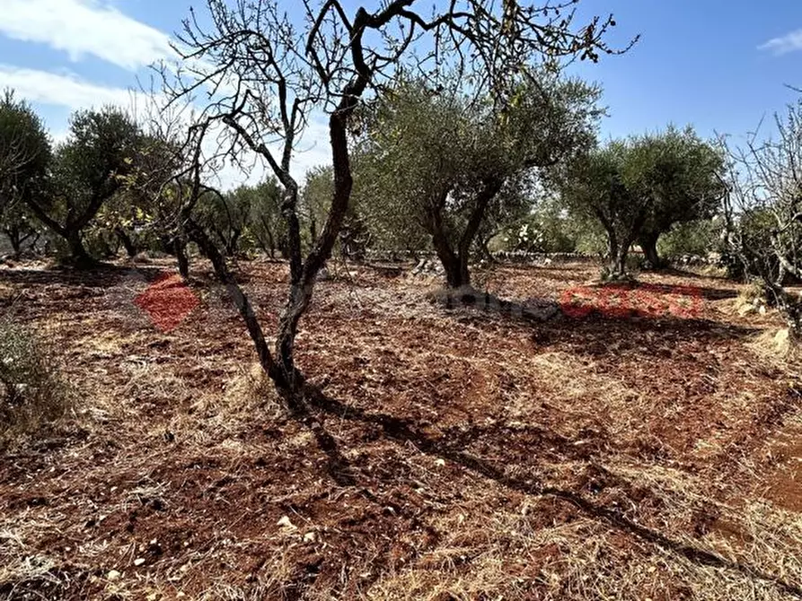Immagine 8 di Rustico / casale in vendita  in Contrada Camastra, snc a Ostuni
