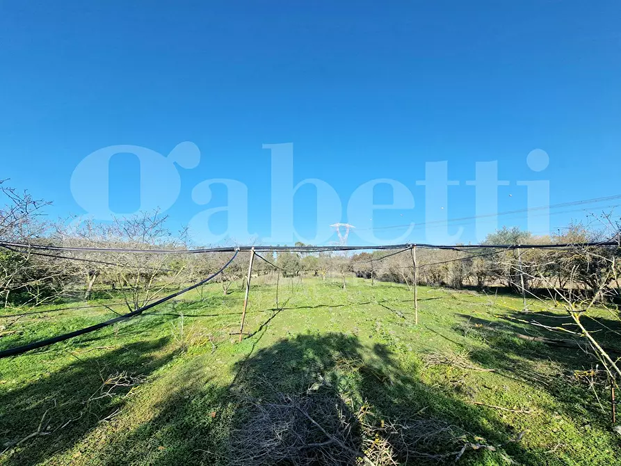 Immagine 9 di Terreno agricolo in vendita  in Via dessi, snc a Sestu