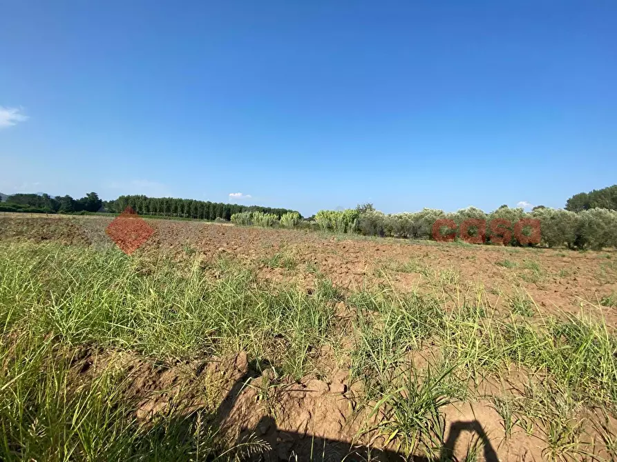 Immagine 22 di Terreno agricolo in vendita  in LocalitÃ  Starzella, SNC a Falciano Del Massico