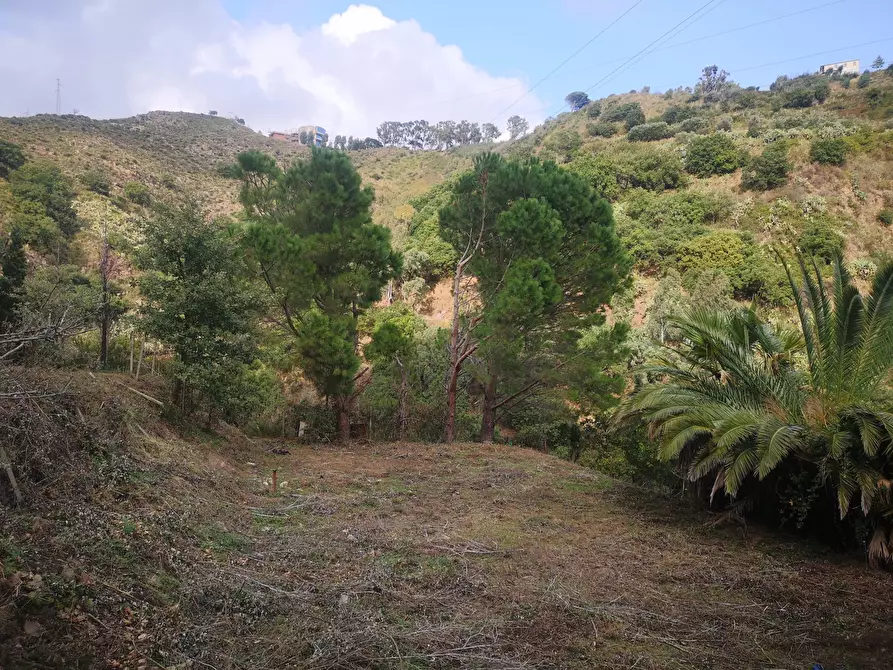 Immagine 4 di Terreno agricolo in vendita  in Via Comunale Catarratti, 106 a Messina