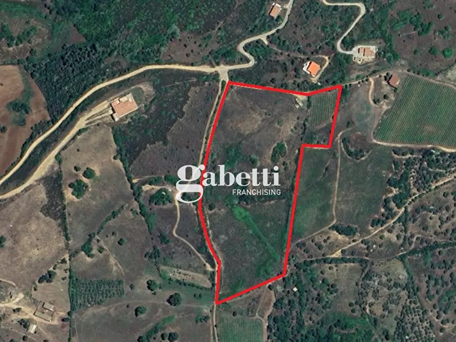 Immagine 16 di Terreno residenziale in vendita  in LocalitÃ  Giustinu, snc a Budoni