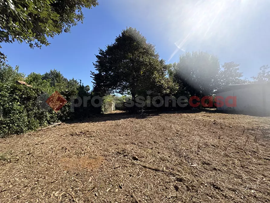 Immagine 7 di Casa indipendente in vendita  in Via SAN FELICE CIRCEO TRAVERSA DESTRA, 10 a Terracina