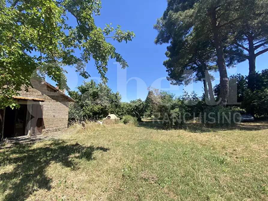 Immagine 4 di Rustico / casale in vendita  in Via DEL CONDOTTINO, 00 a Manziana