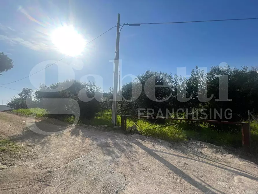 Immagine 5 di Terreno agricolo in vendita  in LocalitÃ  Monte a Mare, s.n.c a Gaeta