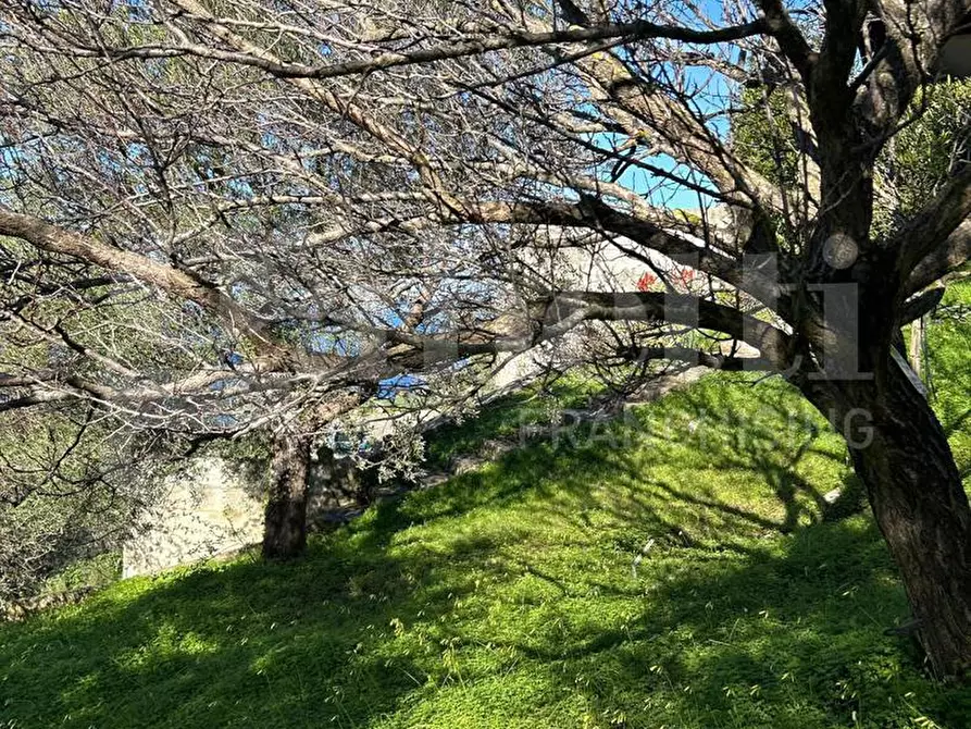 Immagine 48 di Villa in vendita  in Contrada santo stefano, 165/A a Gioiosa Marea