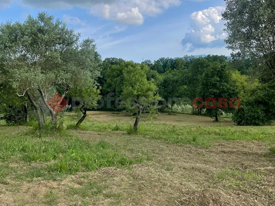 Immagine 12 di Casa indipendente in vendita  in Via paterno, snc a Anagni