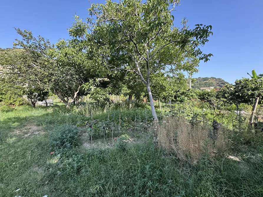 Immagine 17 di Terreno agricolo in vendita  in Strada comunale, snc a Rometta