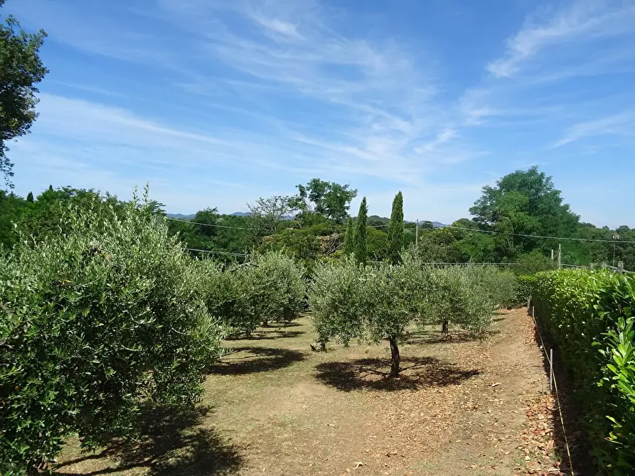 Immagine 6 di Villa in vendita  in Via Canale, 86 a Manziana