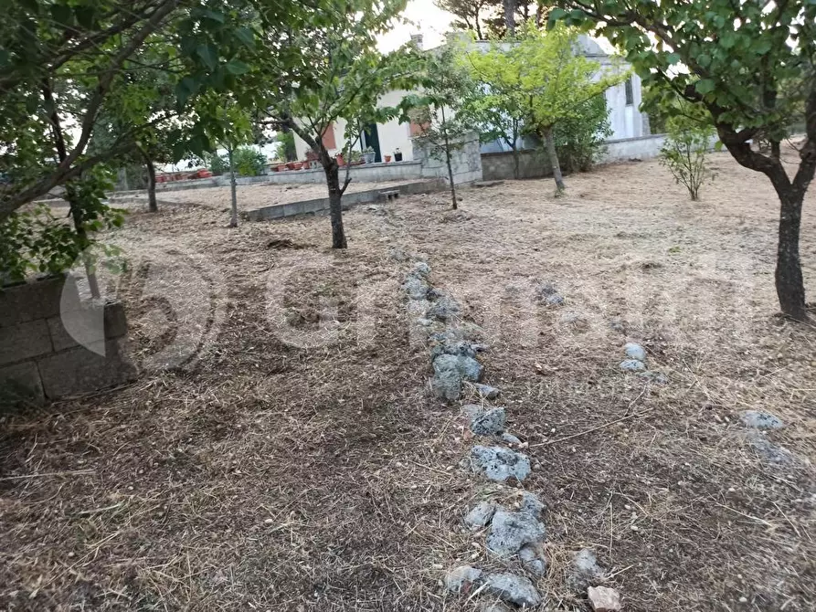 Immagine 17 di Villa in vendita  in Contrada vaccaro, 84 a Martina Franca