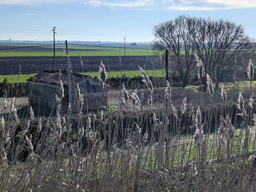 Immagine 6 di Rustico / casale in vendita  in LocalitÃ  Valcerere Dolfina, 00 a Cavarzere
