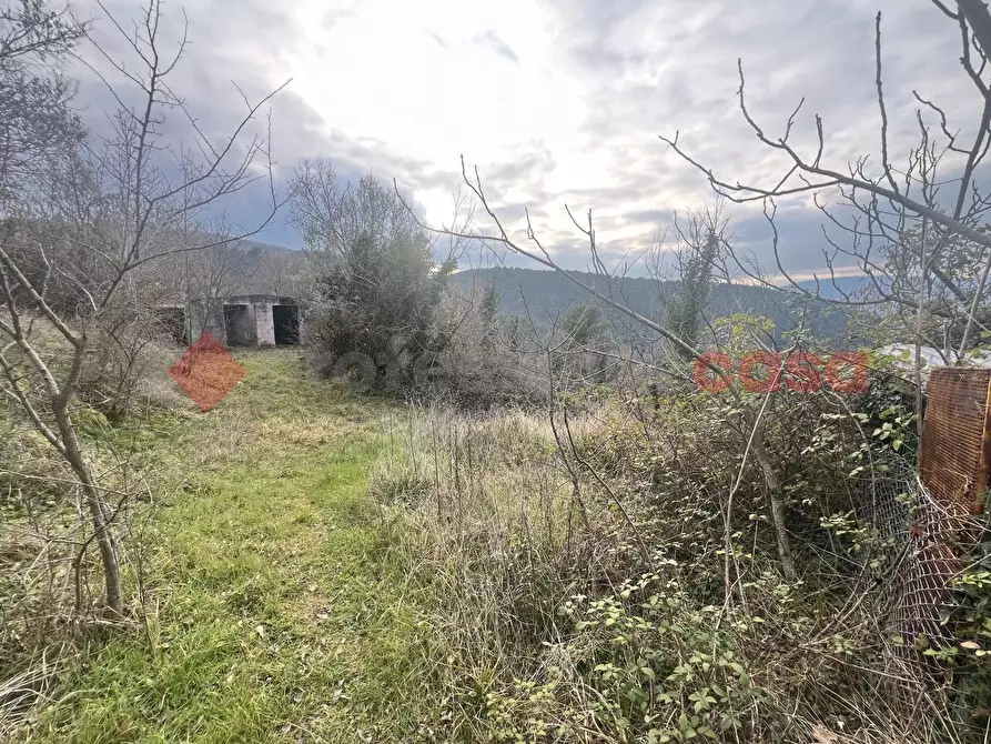Immagine 3 di Terreno agricolo in vendita  in LocalitÃ  Rubbiano a Spoleto