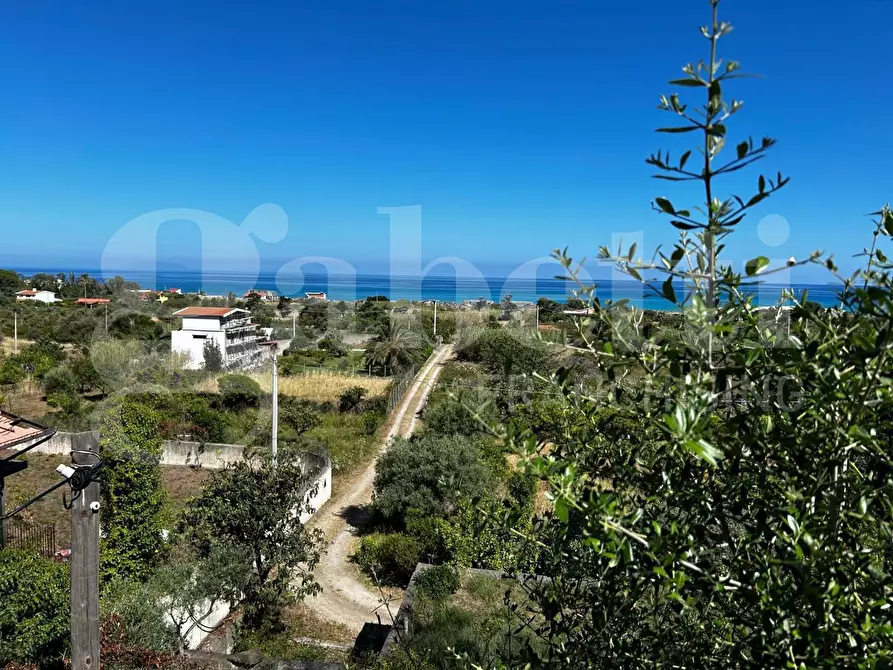 Immagine 7 di Terreno agricolo in vendita  in Contrada Ortoliuzzo, snc a Messina