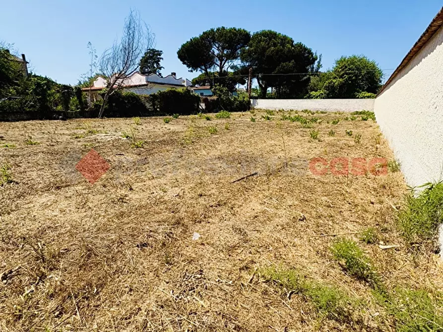 Immagine 18 di Terreno agricolo in vendita  in Via OASI DEL SISTO, 31 a Terracina