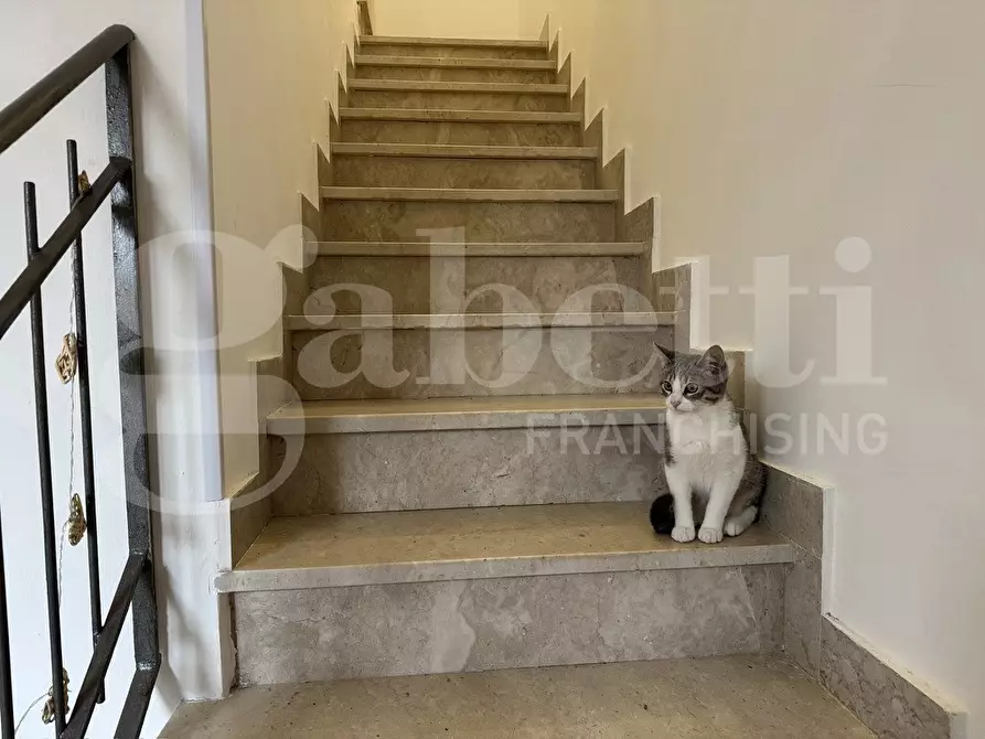 Immagine 13 di Casa indipendente in vendita  in Via Idria, 13 a Rometta