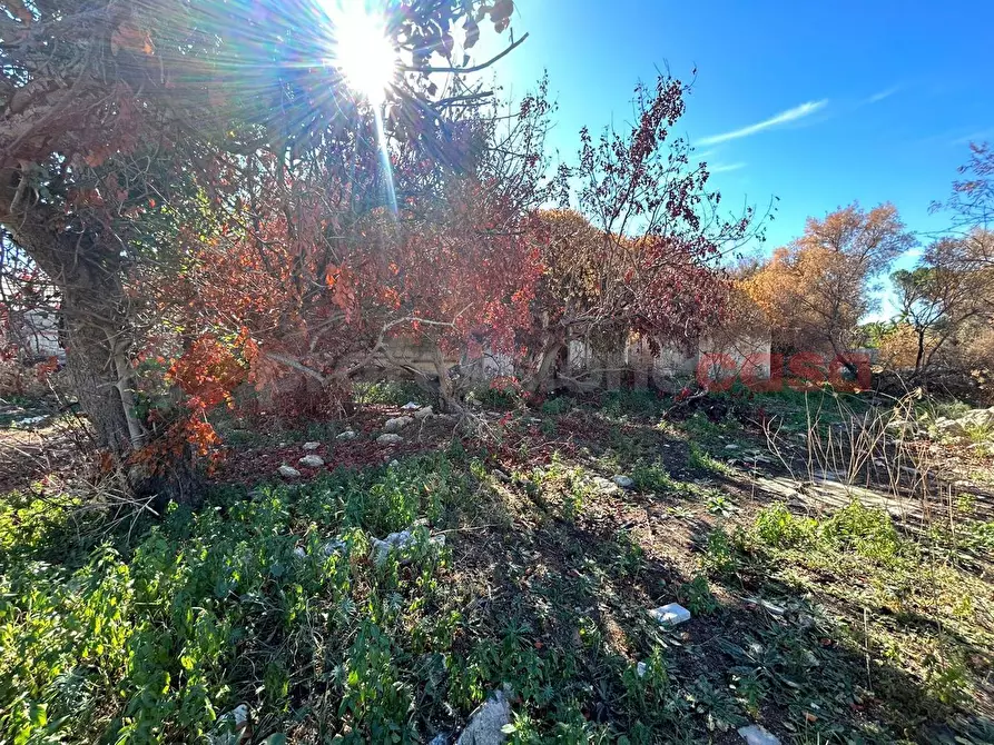 Immagine 16 di Terreno residenziale in vendita  in Via Avola/San Cataldo, 23 a Siracusa