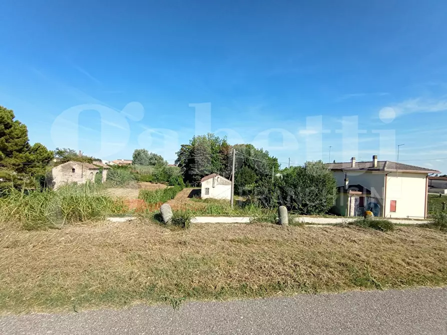 Immagine 1 di Terreno residenziale in vendita  in Via Cavarzere LocalitÃ  Bellina, 13 a Cavarzere