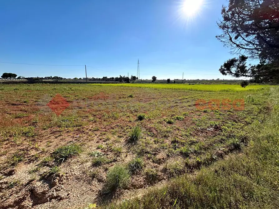 Immagine 11 di Terreno residenziale in vendita  in Via Prov.le Poggiardo-Spongano a Poggiardo