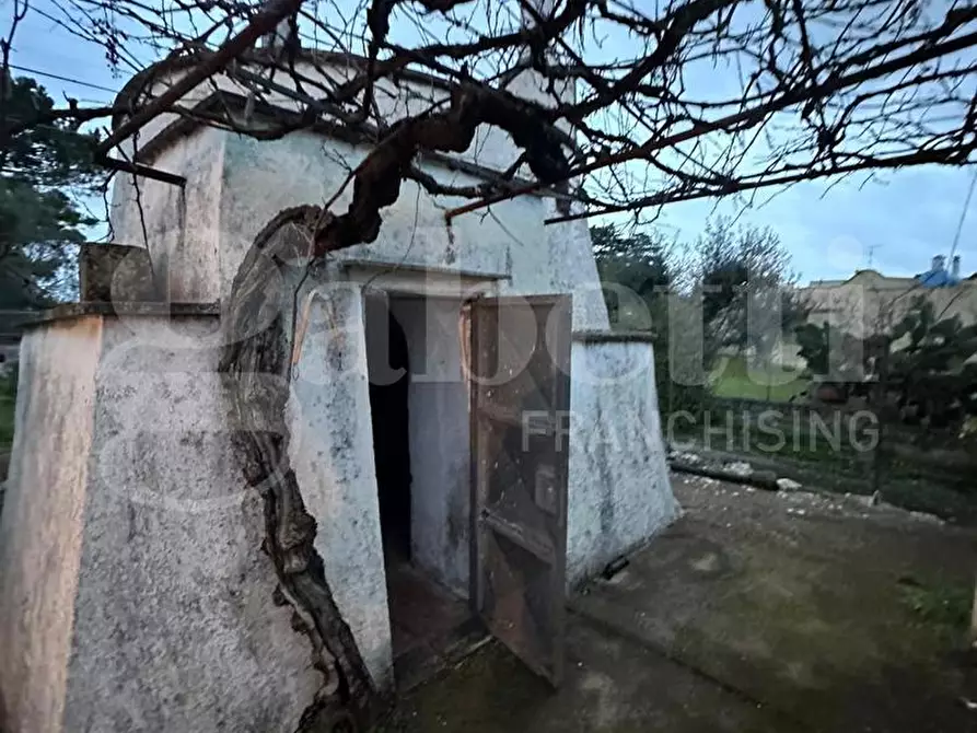 Immagine 11 di Villa in vendita  in Contrada Lamacoppa piccola, sn a Ostuni