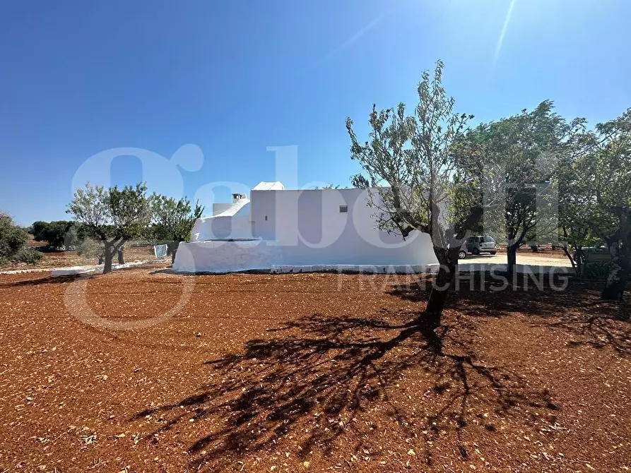 Immagine 28 di Villa in vendita  in Contrada VATO APERTO, sn a Ostuni